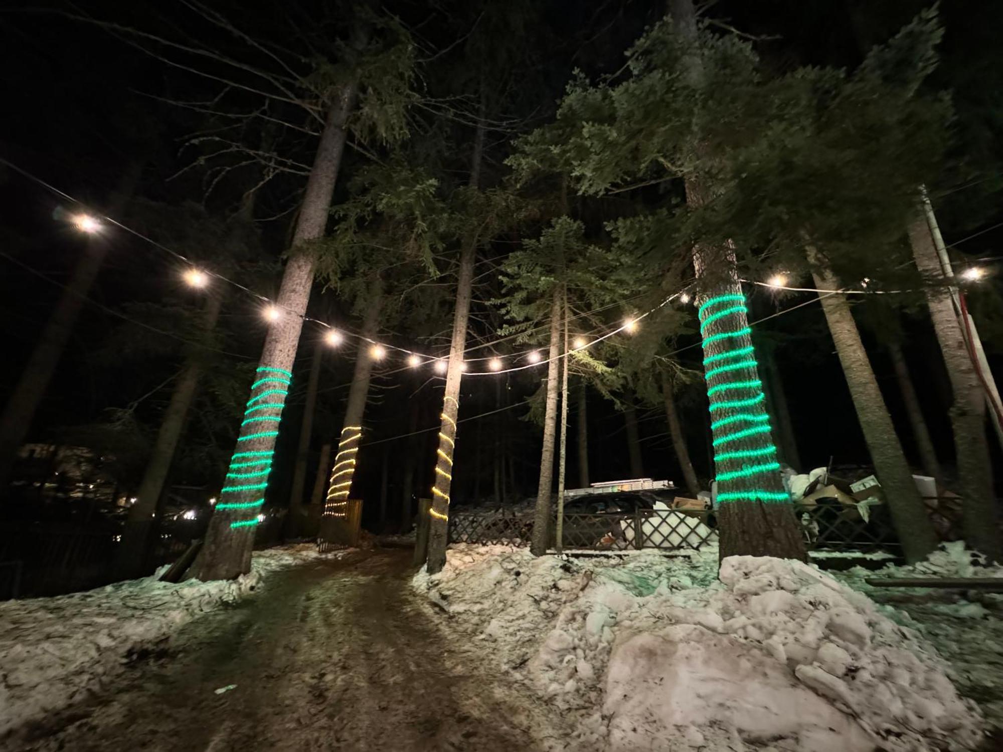 The Forest Villa Borovets Exterior photo