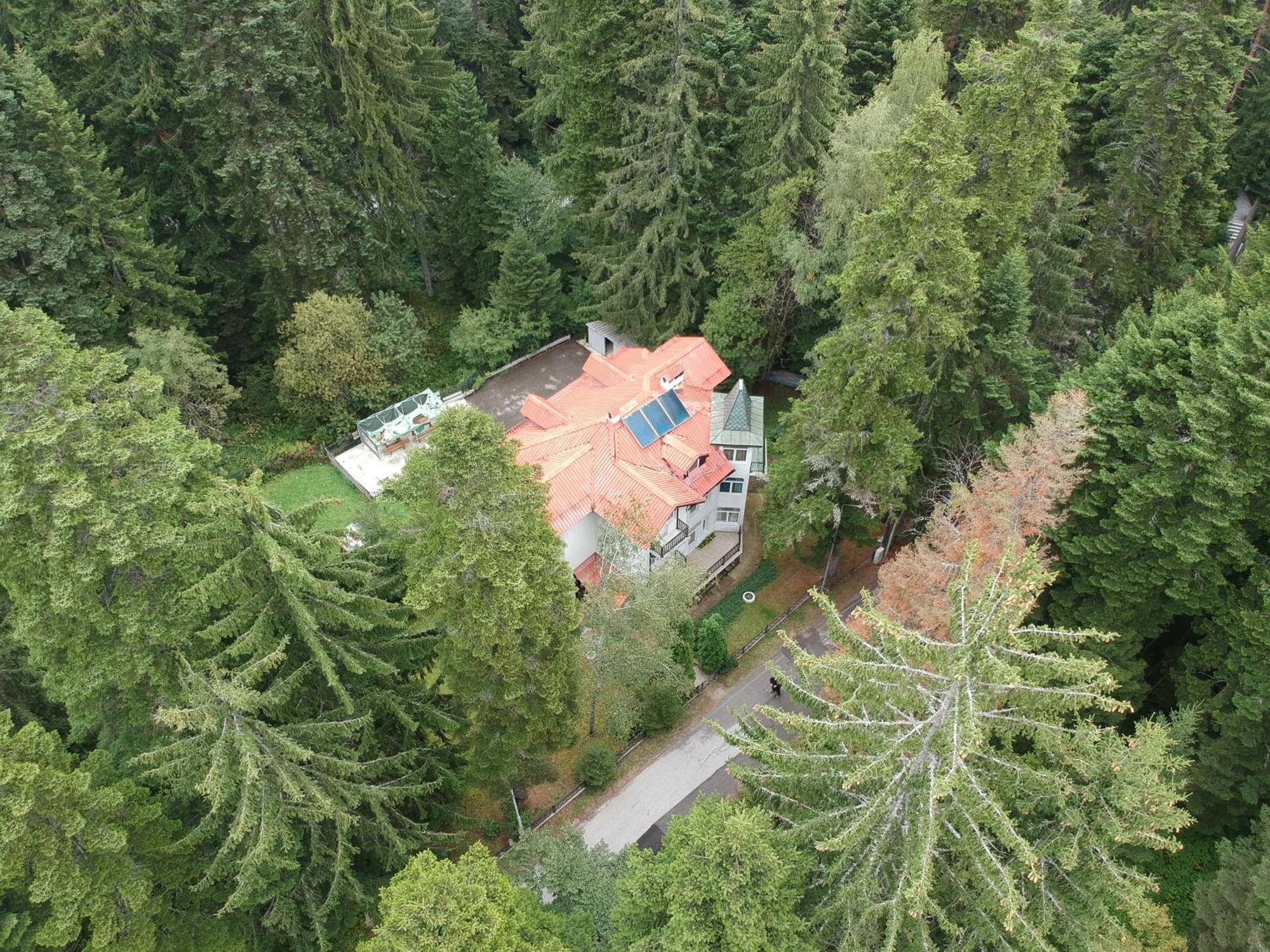 The Forest Villa Borovets Exterior photo
