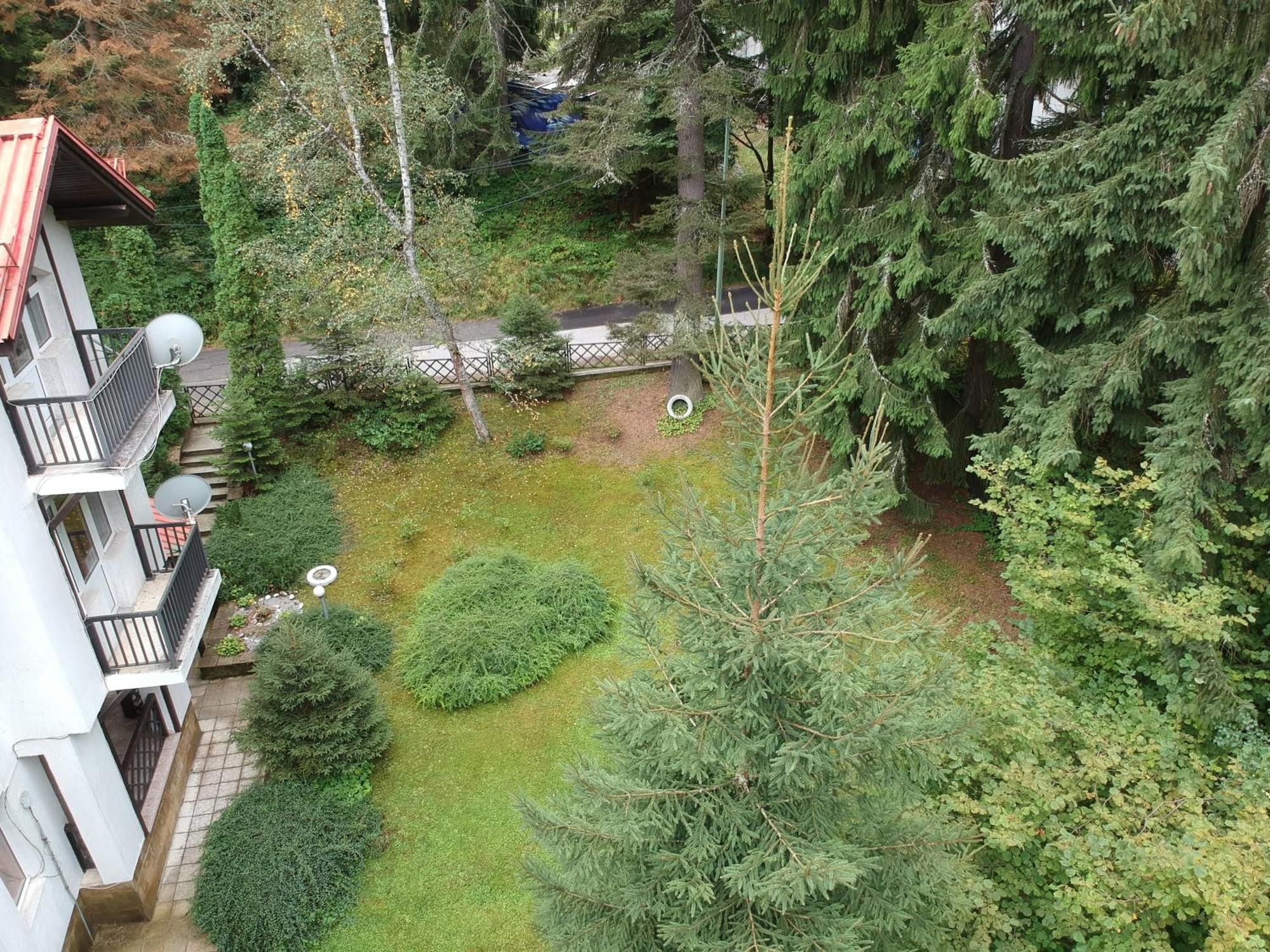 The Forest Villa Borovets Exterior photo