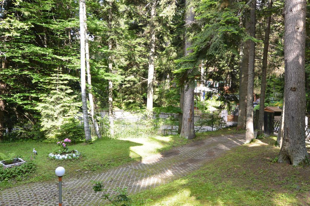The Forest Villa Borovets Exterior photo