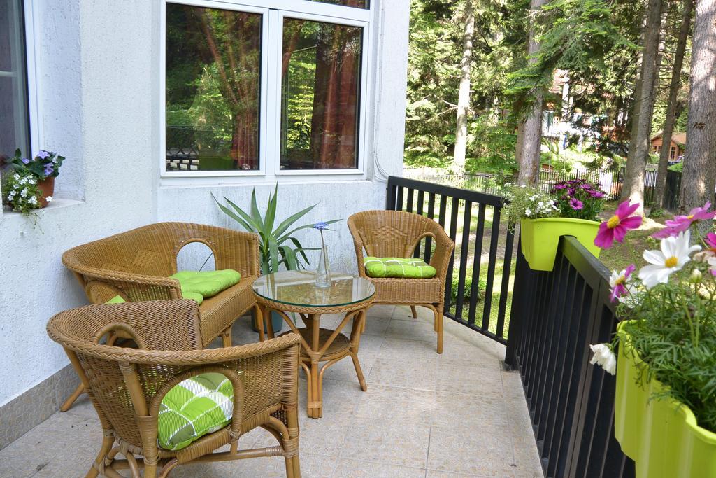 The Forest Villa Borovets Exterior photo
